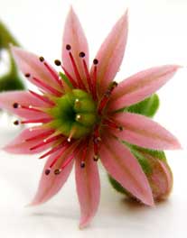 Bild passend zum Text