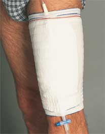 Bild passend zum Text